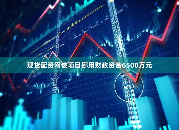 现货配资网该项目挪用财政资金6500万元